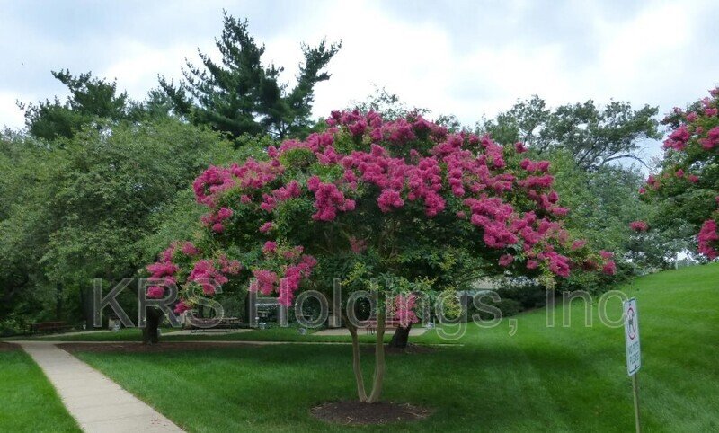 Charming property image