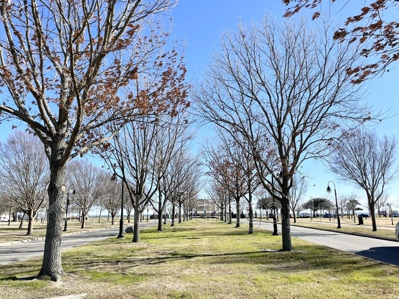 Luxurious property image